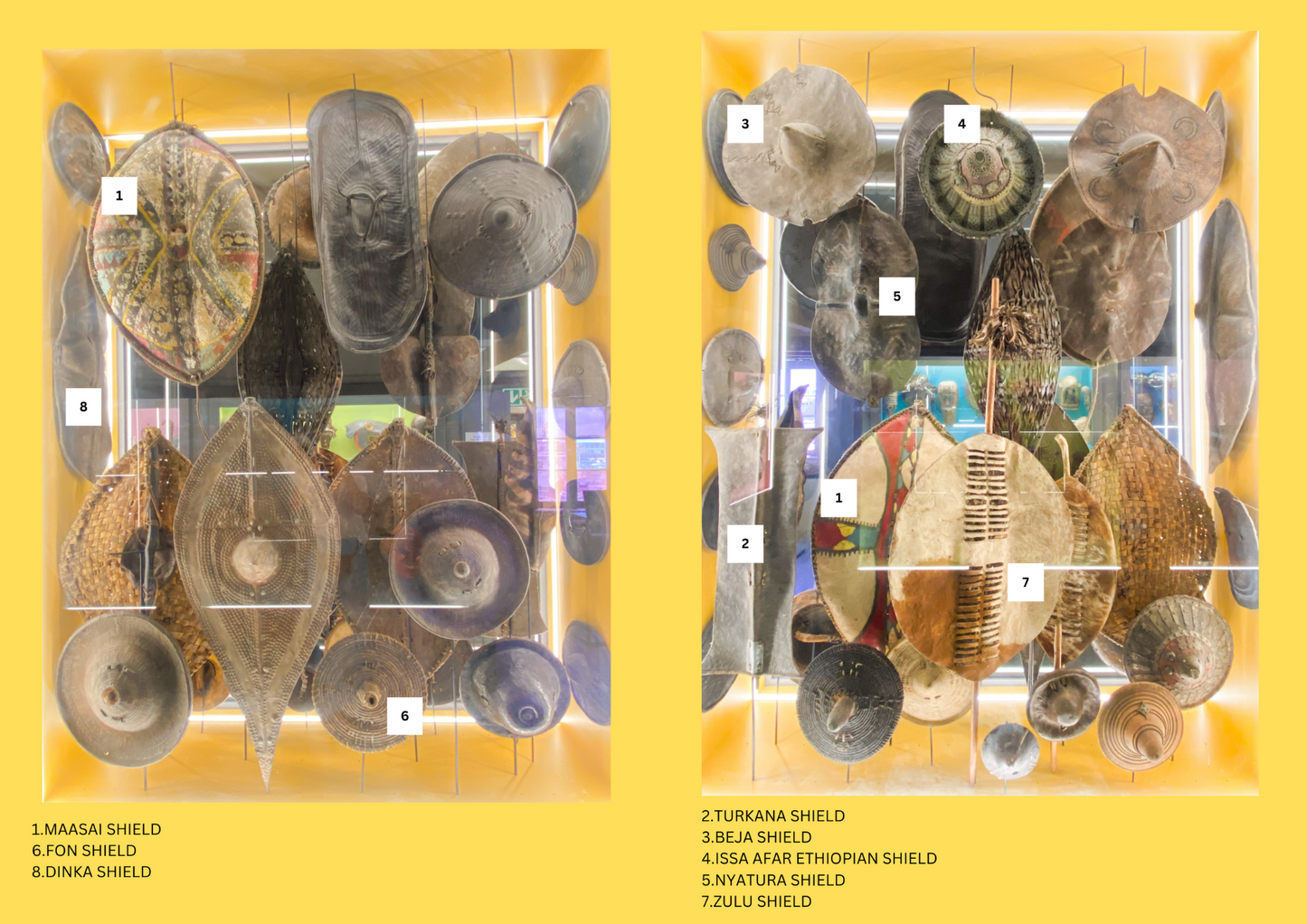 Eye Witness Display