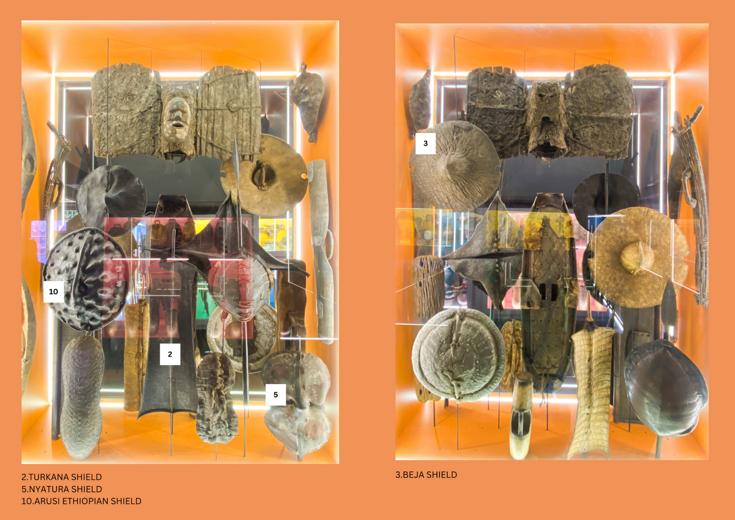 Eye Witness Display