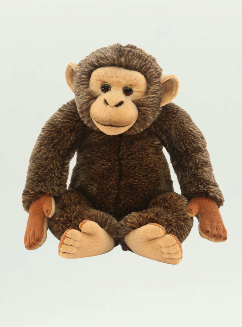 Monkey Sitting