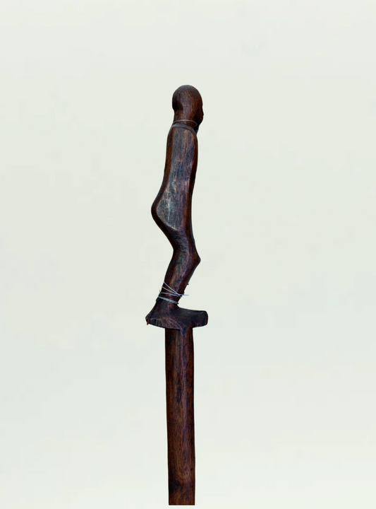 Walking Stick