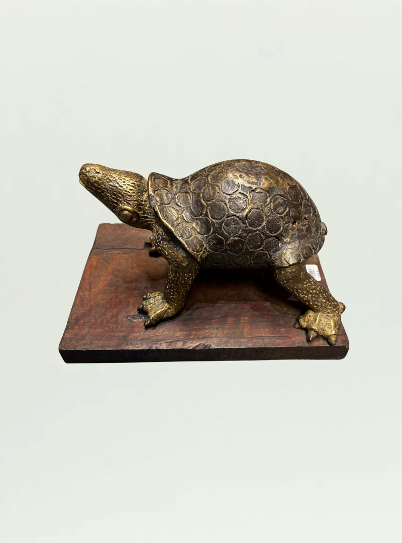 Bronze Tortoise