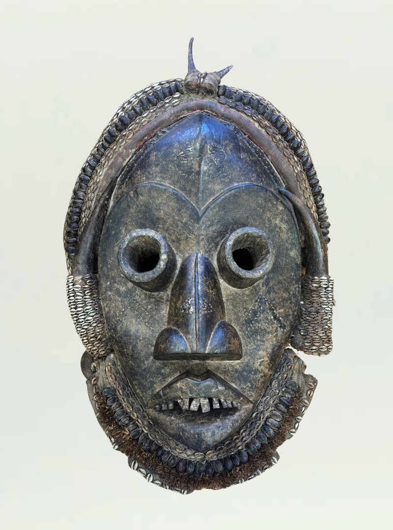 Large Dan Mask