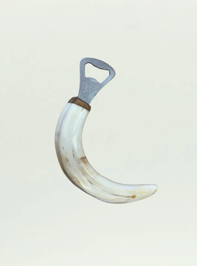 Tusk Bottle Opener