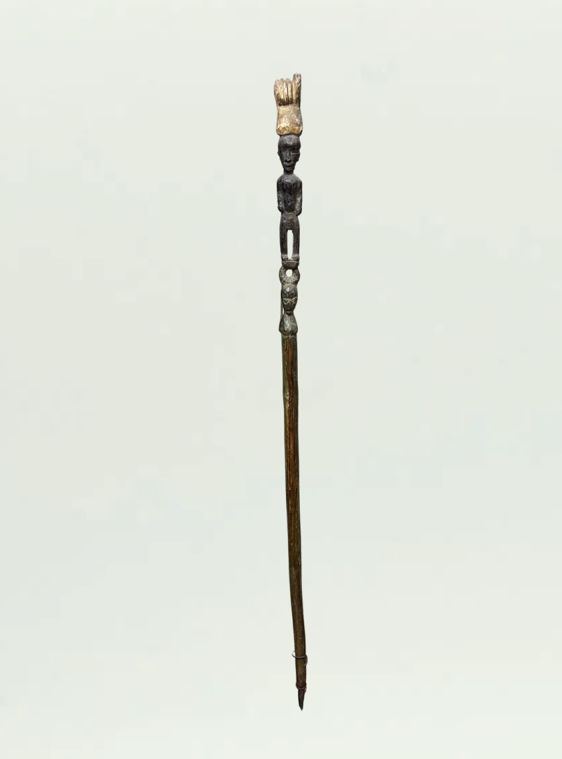 Ivory Coast Walking Stick
