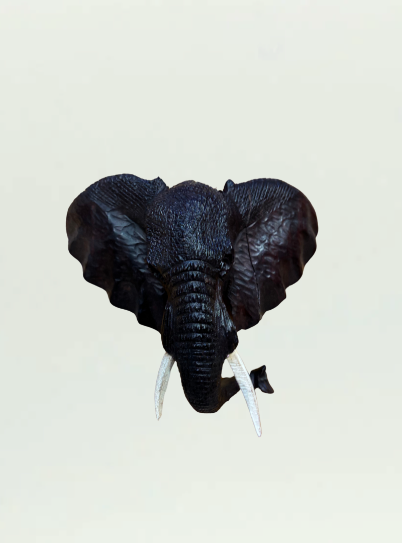 Iron Wood Elephant Head
