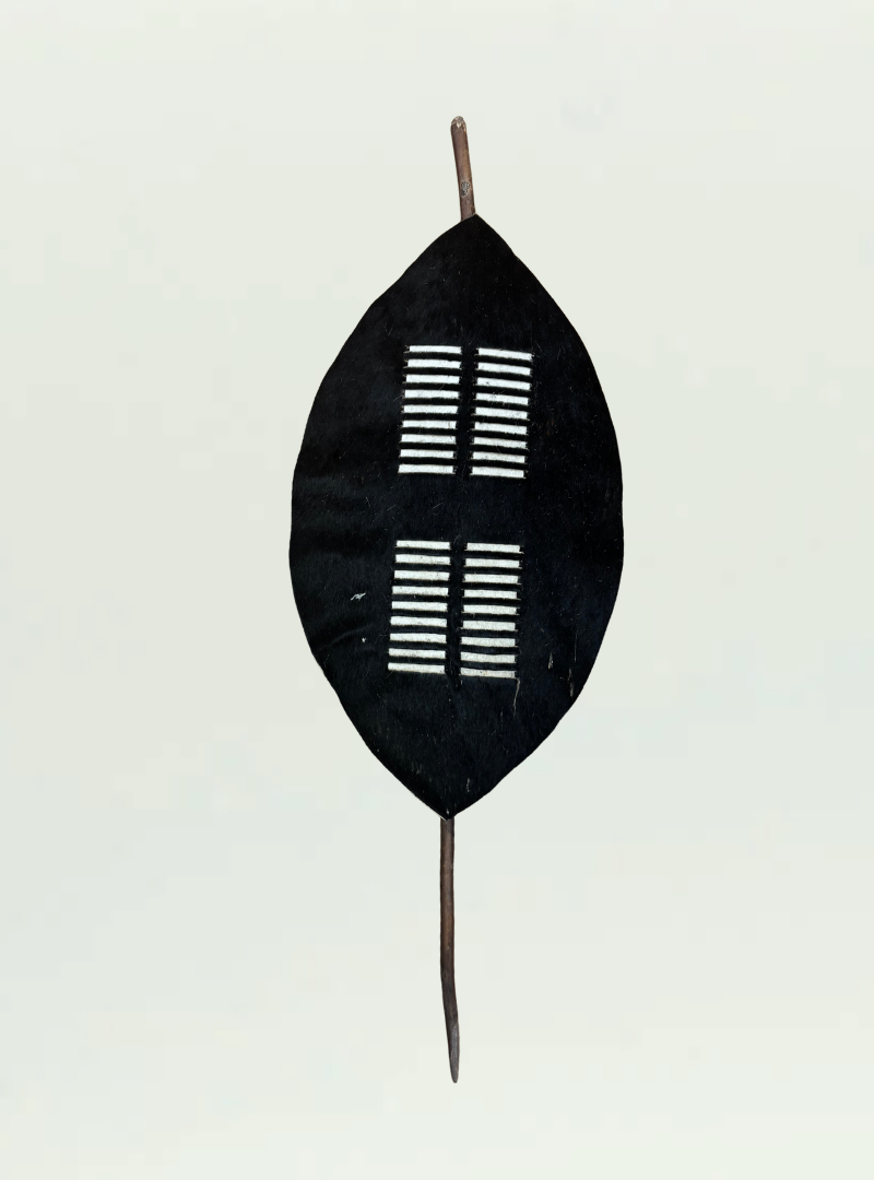 Cowhide Shield