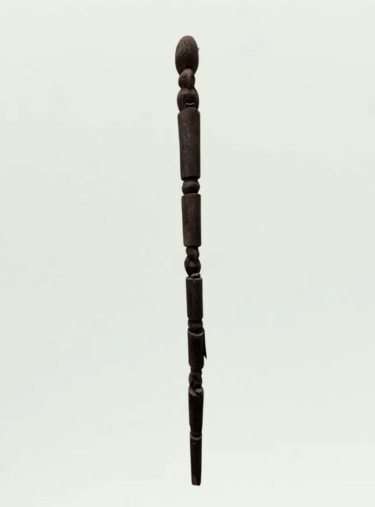 Walking stick