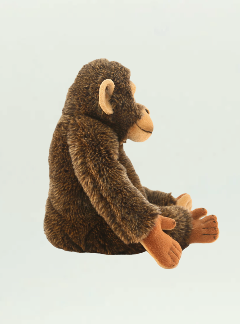 Monkey Sitting