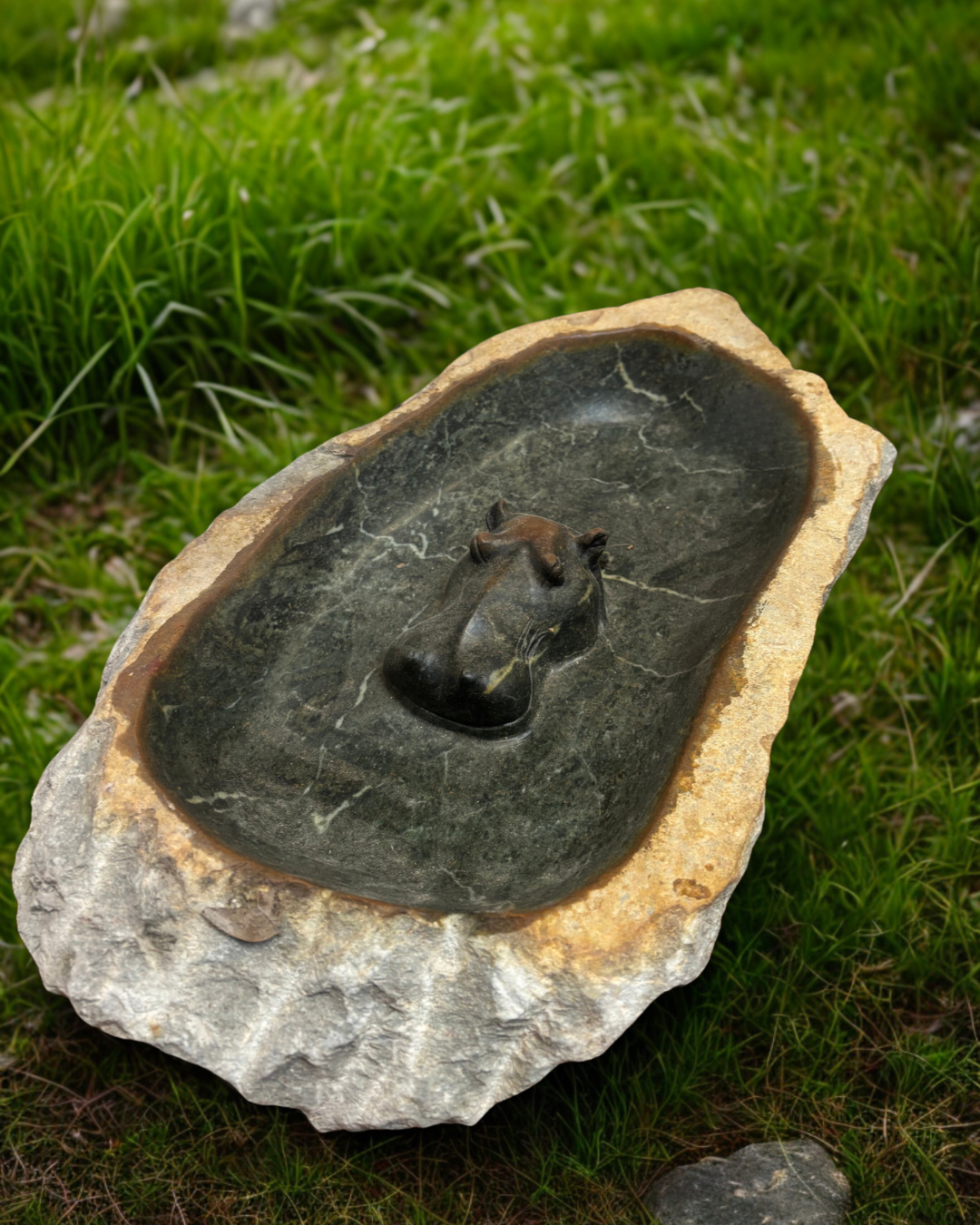 Hippo Bird Baths