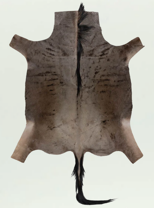 Blue Wildebeest Skin Rug