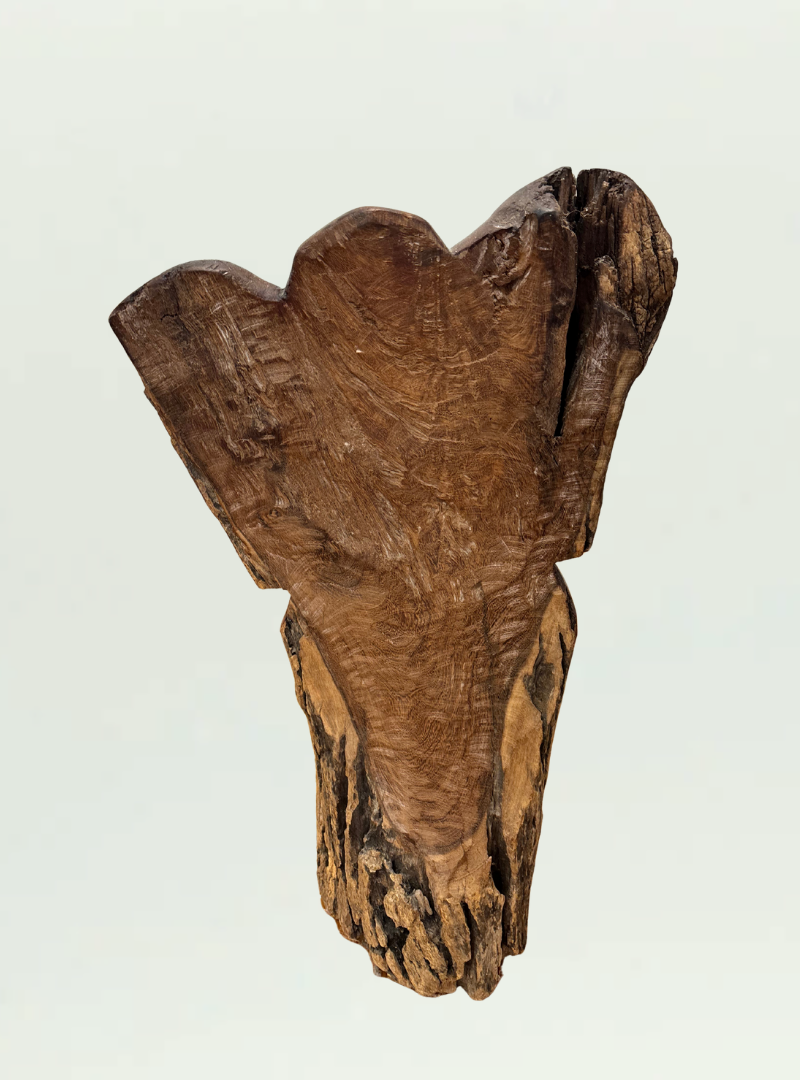 Driftwood Elephant