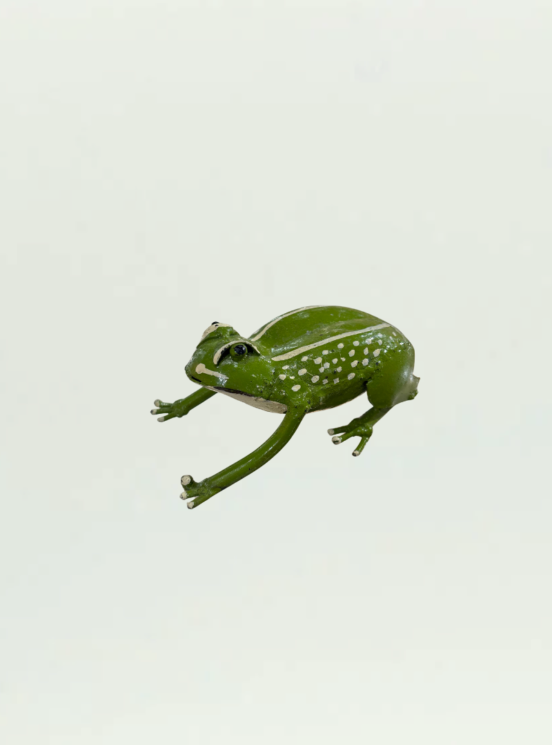 Metal Frog