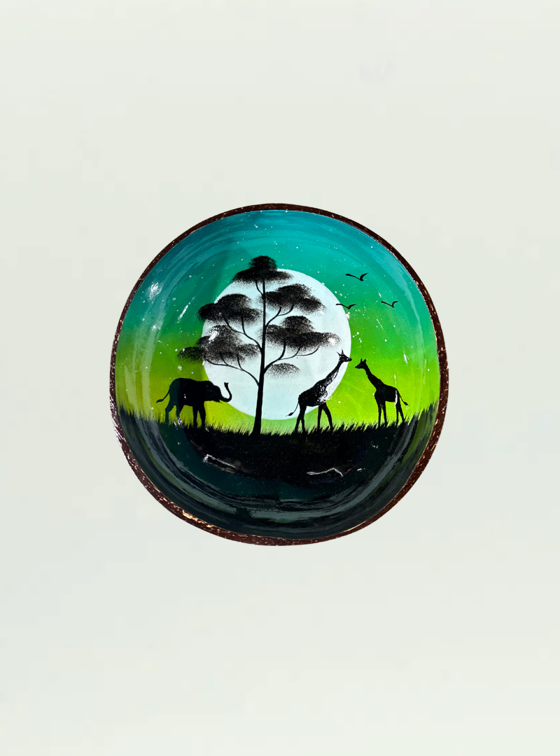 Painted Coconut Bowl