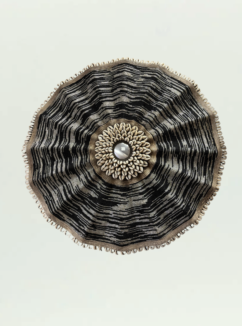 Black and Silver Umbrella Shield