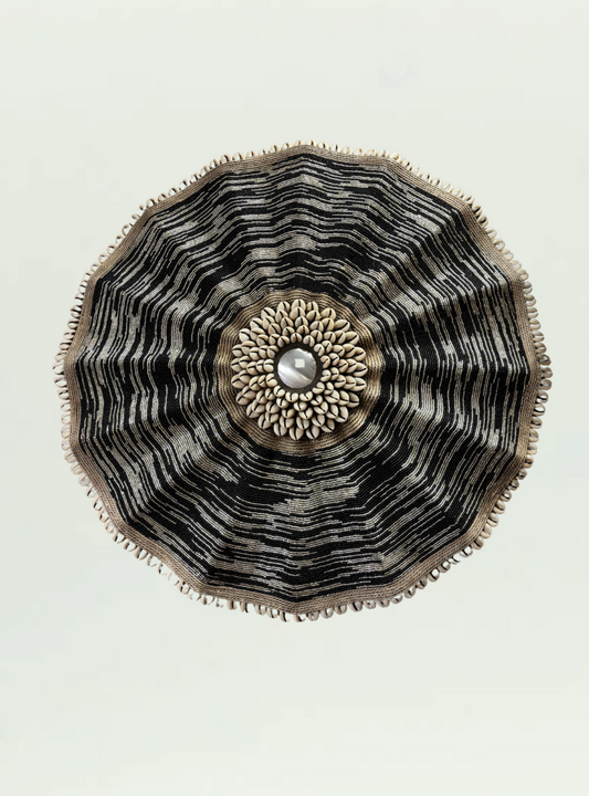 Black and Silver Umbrella Shield