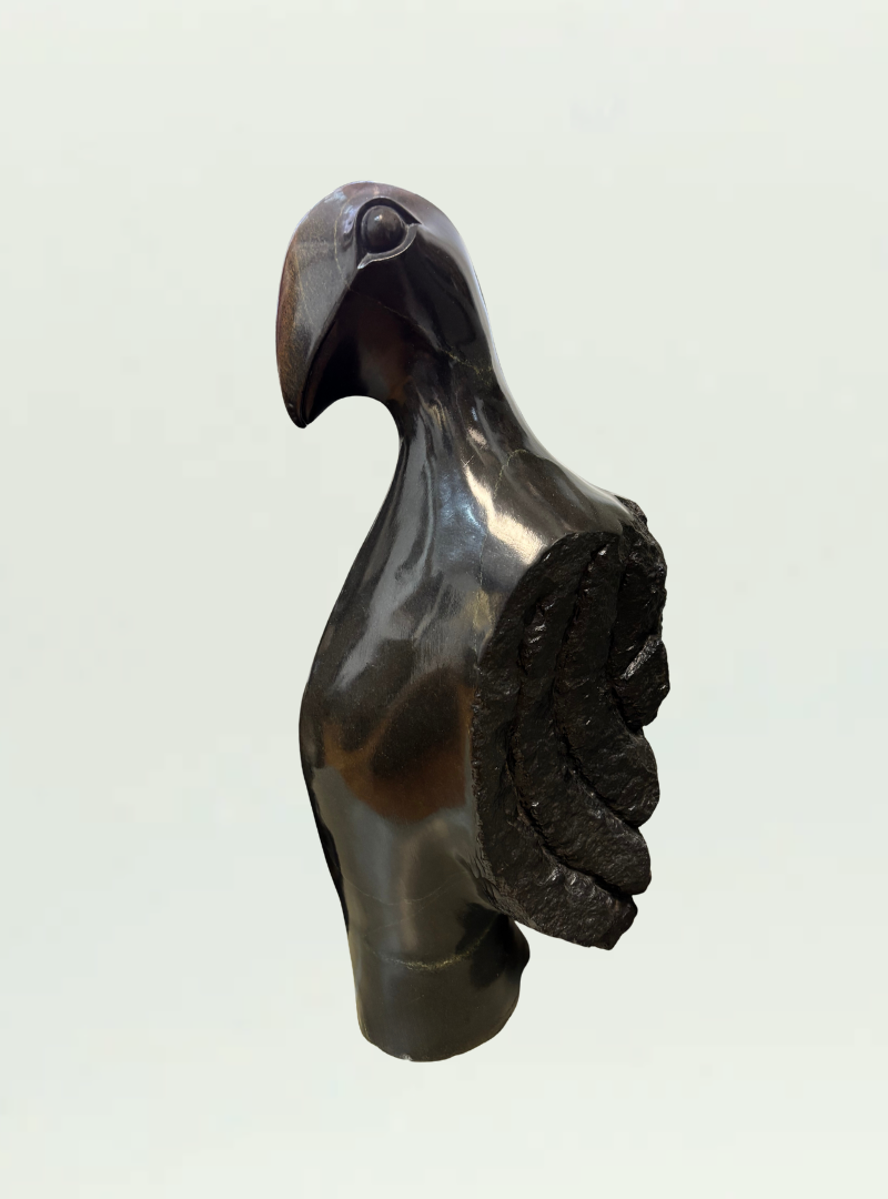 Bird of Prey