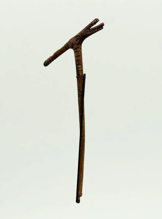 Walking Stick