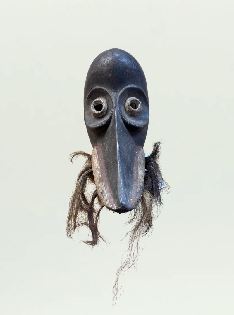Bird Mask