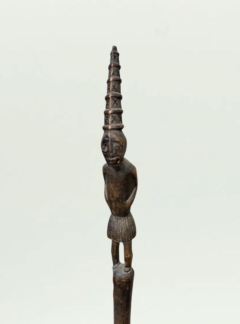 Walking Stick