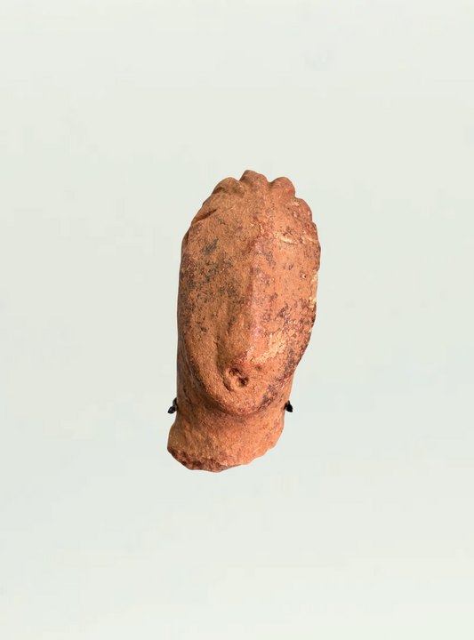 BG Terracotta Bust