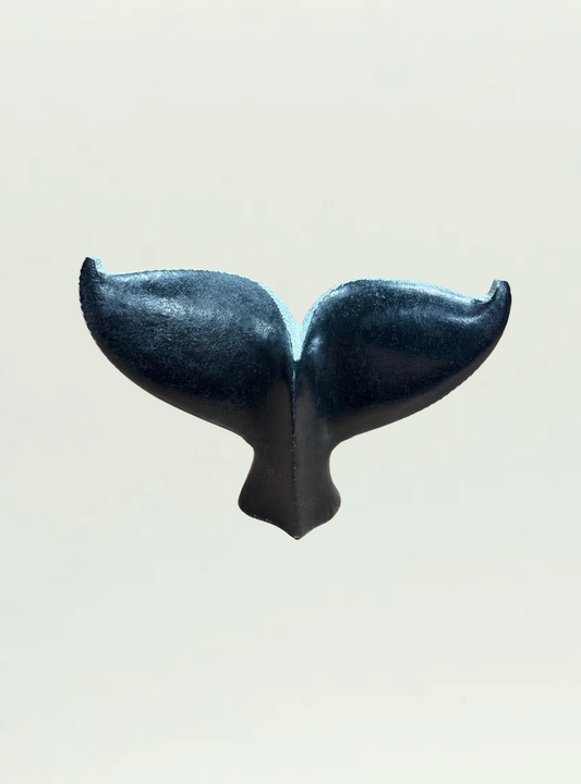 Whale Tail