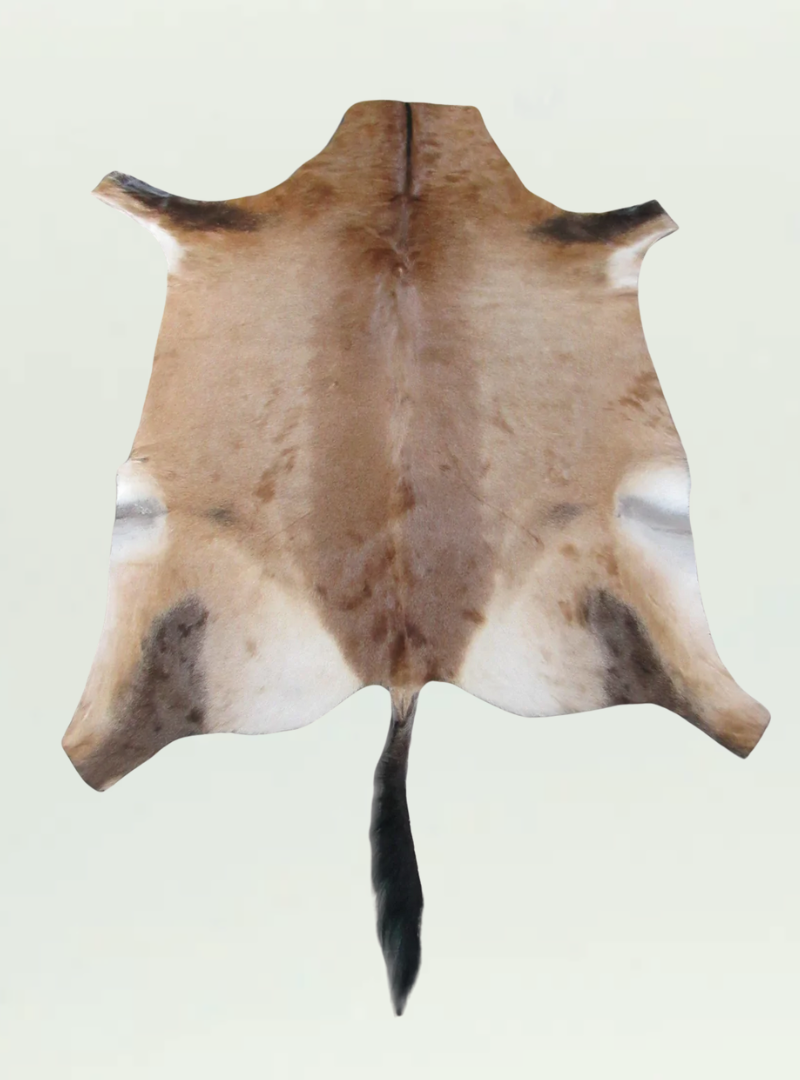 Red Hartebeest Skin Rug