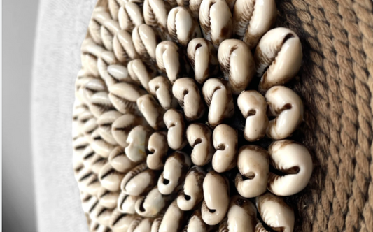 Cowrie Shells in African Culture: From Currency to Décor