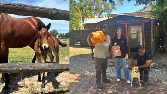 African Trading Port Gives Back