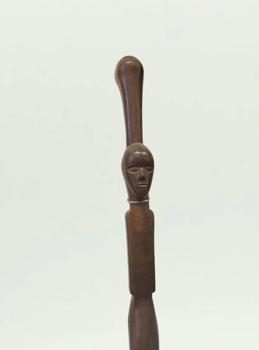 Walking Stick