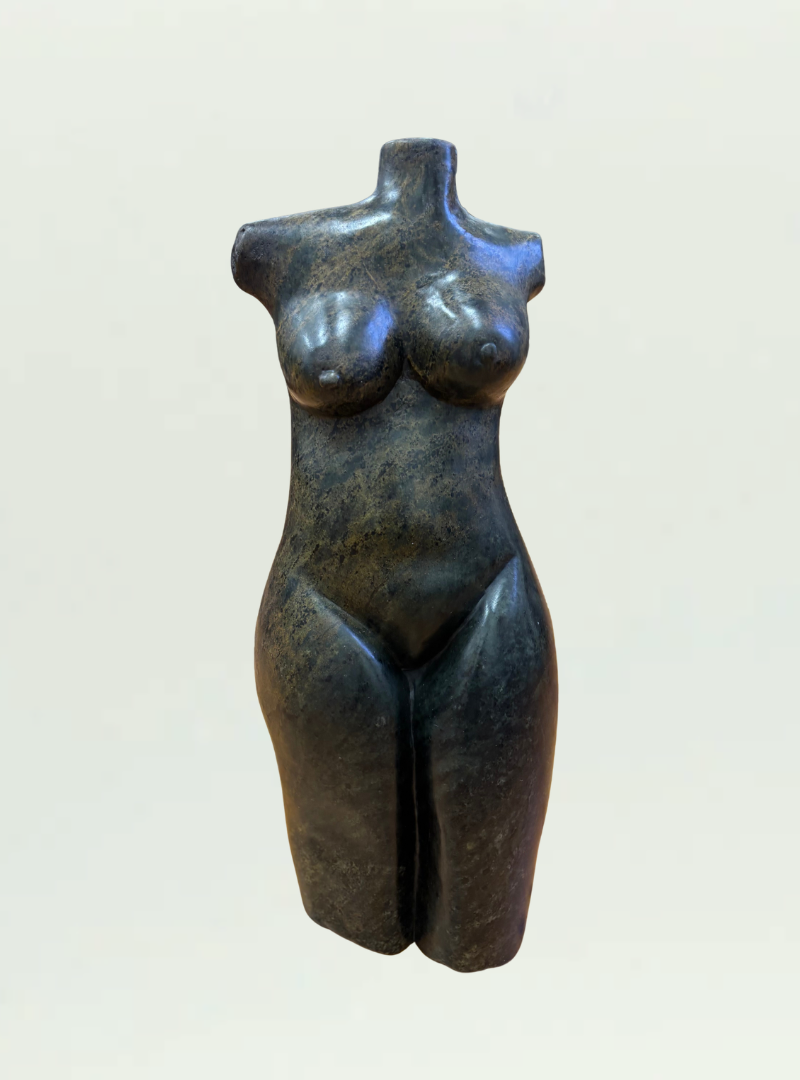 Torso