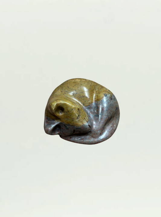 Cat Serpentine