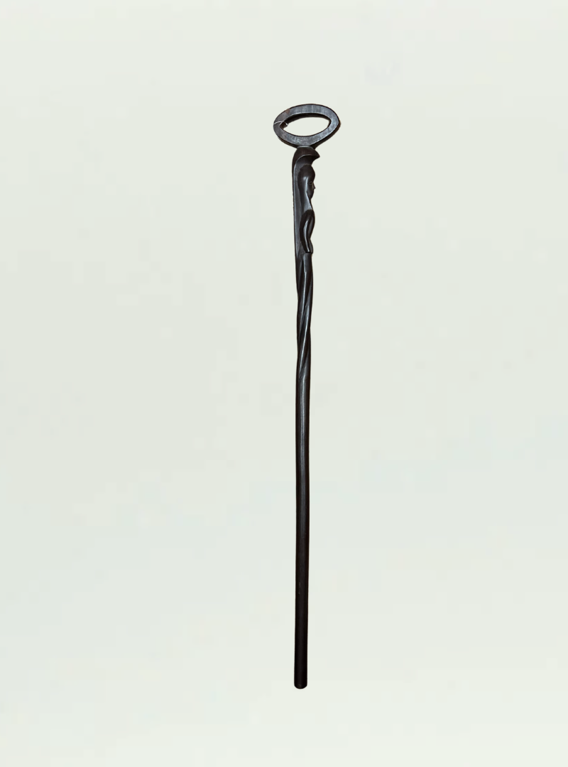 Walking Stick
