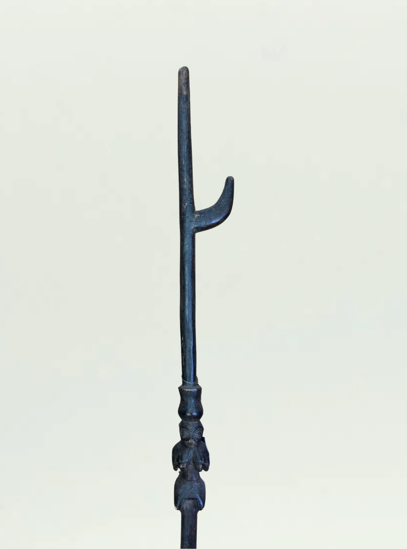 West Africa Walking Stick