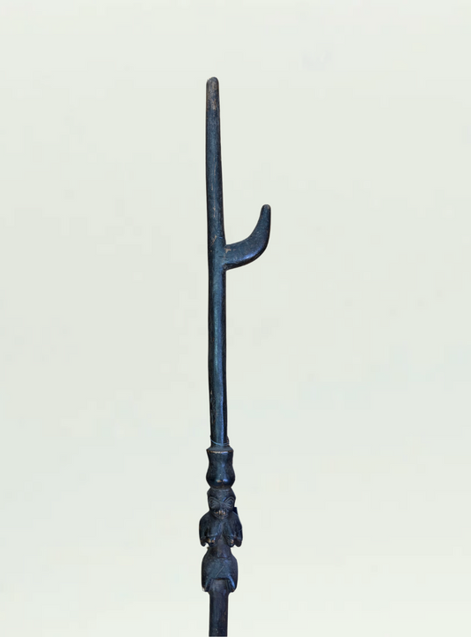 West Africa Walking Stick