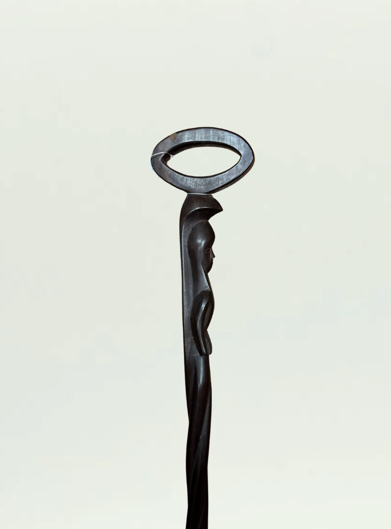Walking Stick