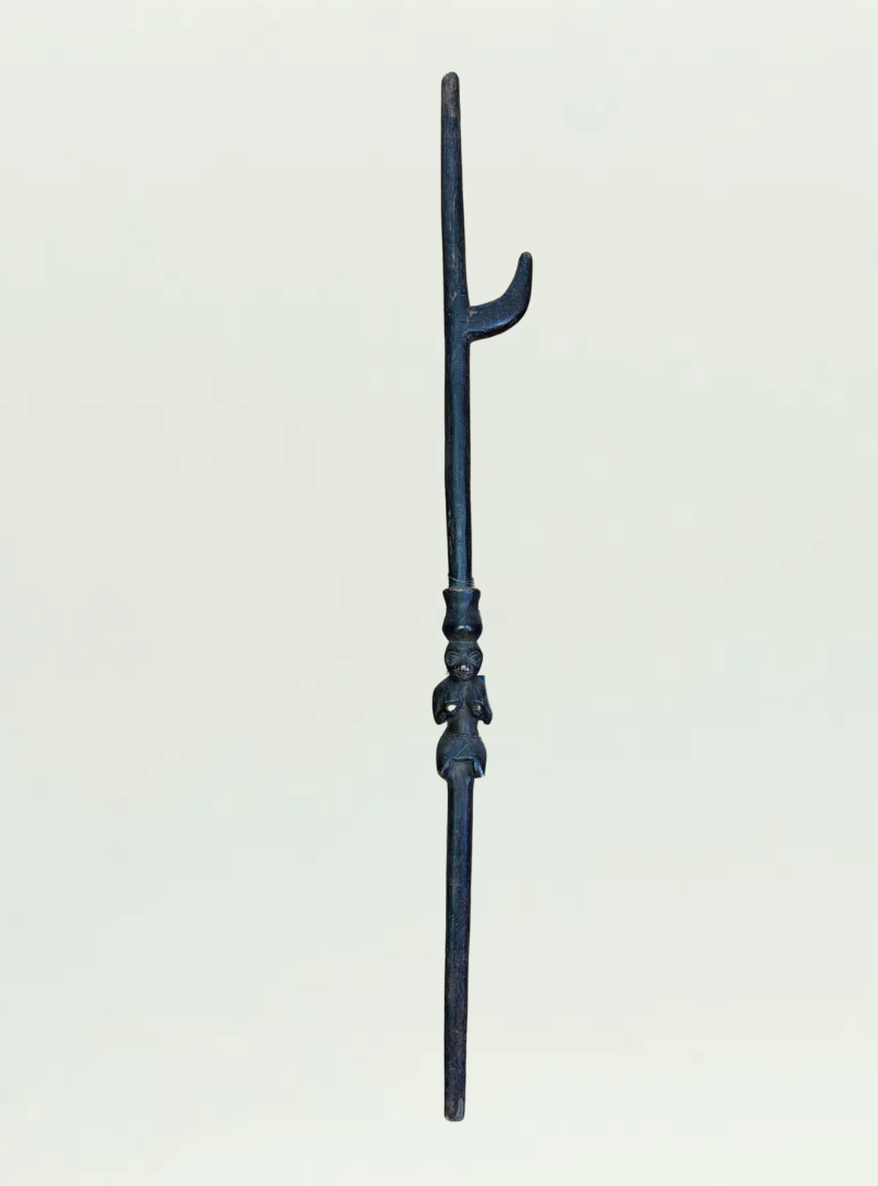 West Africa Walking Stick