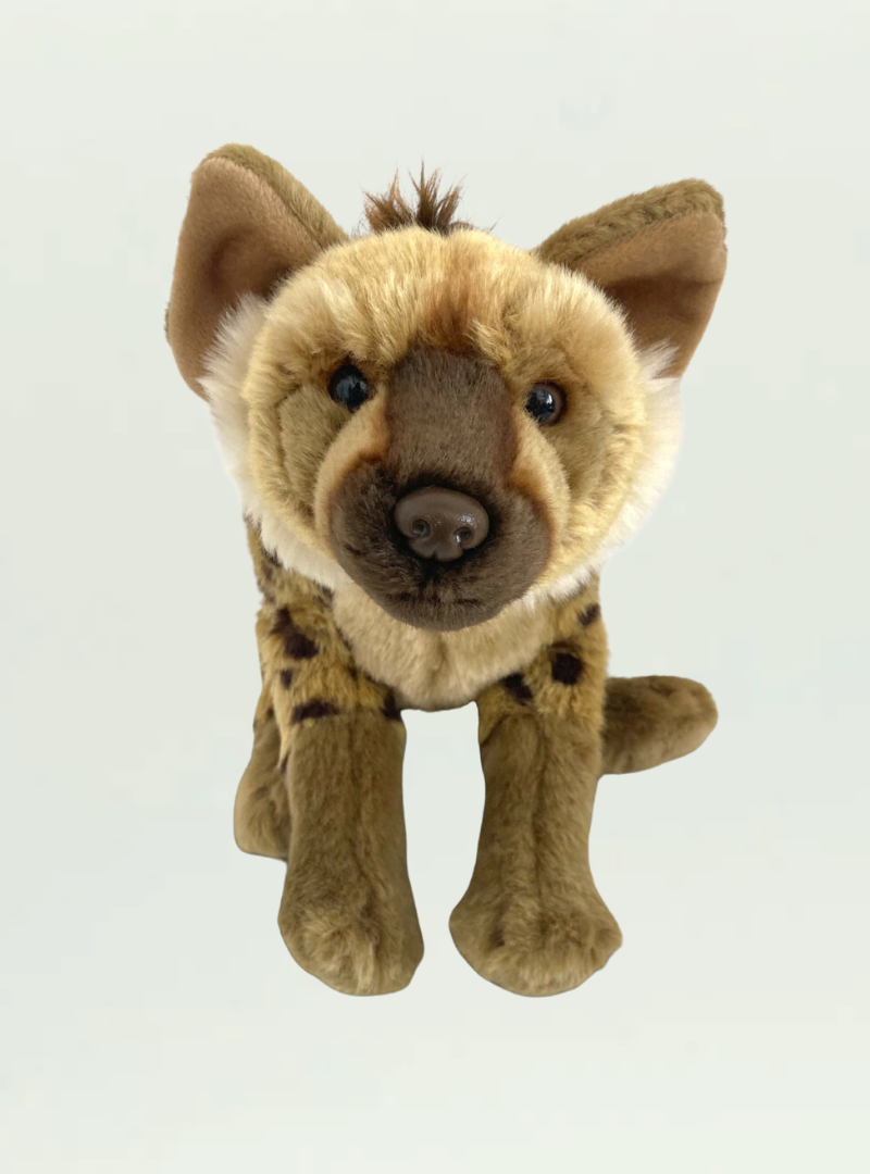 Hyena Sitting Med