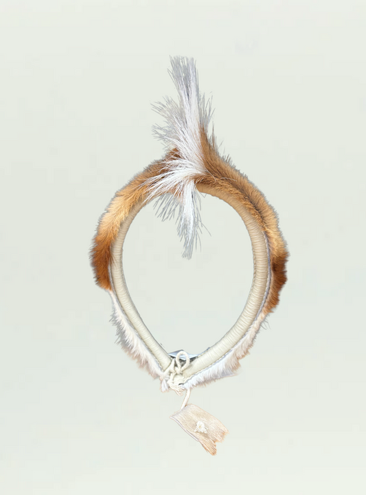 Umqhele Springbok