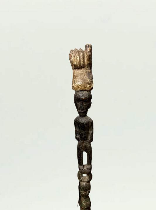 Ivory Coast Walking Stick