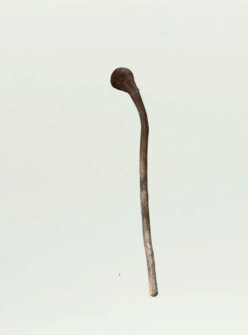 Wooden Cane