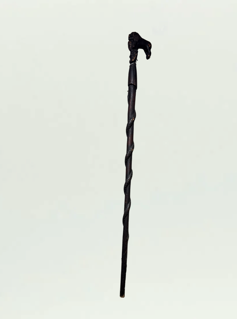 Zulu Walking Stick