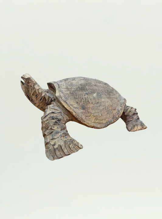 Wooden Tortoise