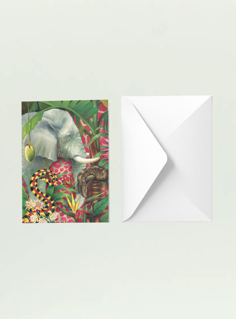 African Jungle Cards 6 Pack