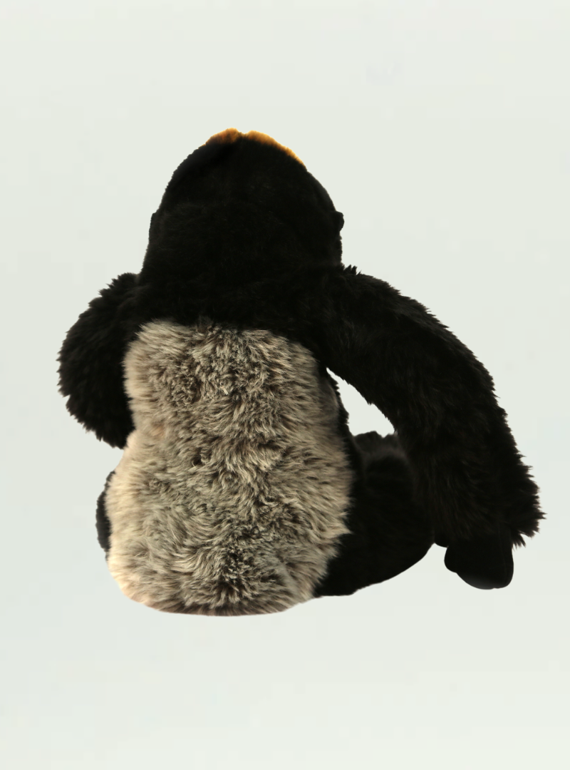 Gorilla Medium