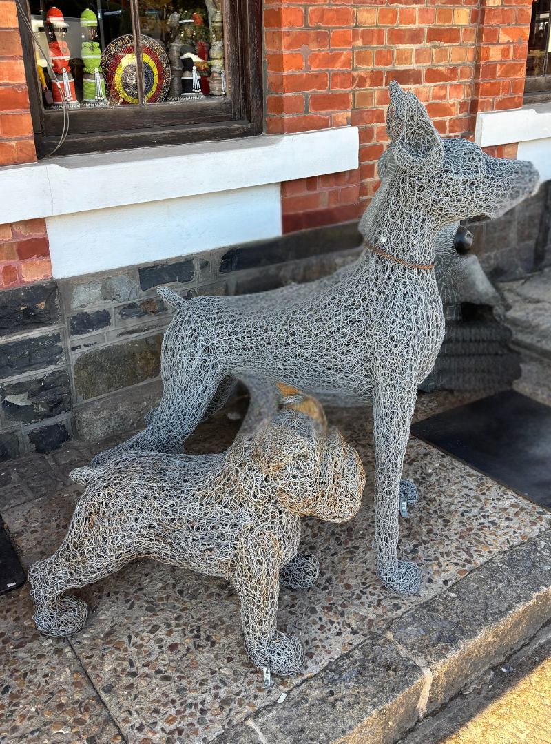 Wire Dog
