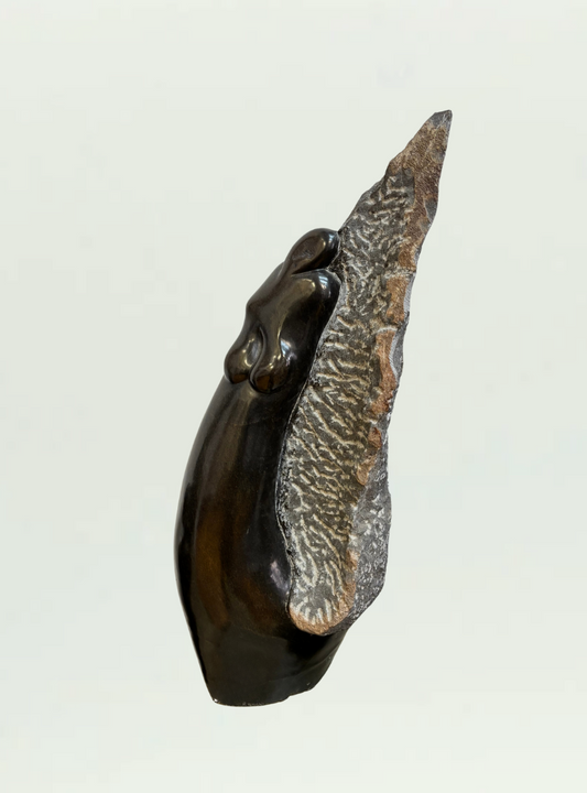 Torso