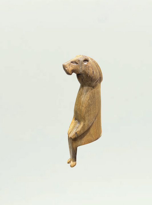 Sitting Lion