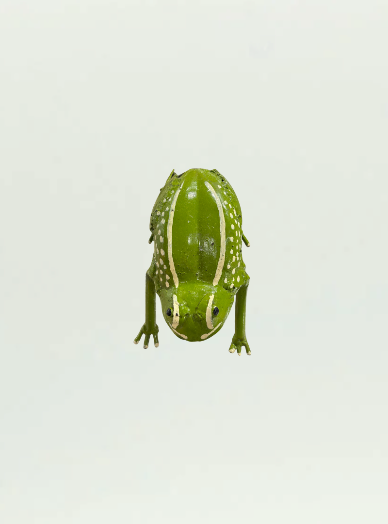 Metal Frog