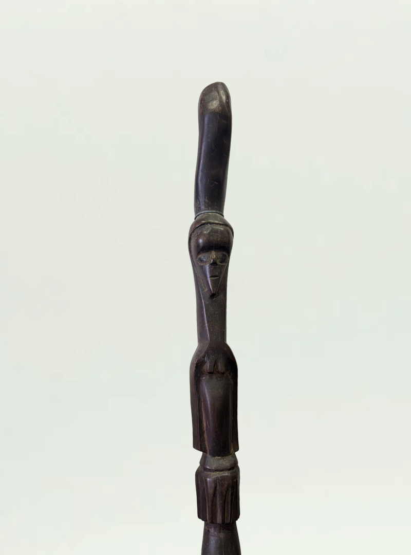 Walking Stick