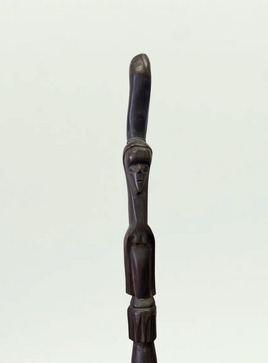 Walking Stick
